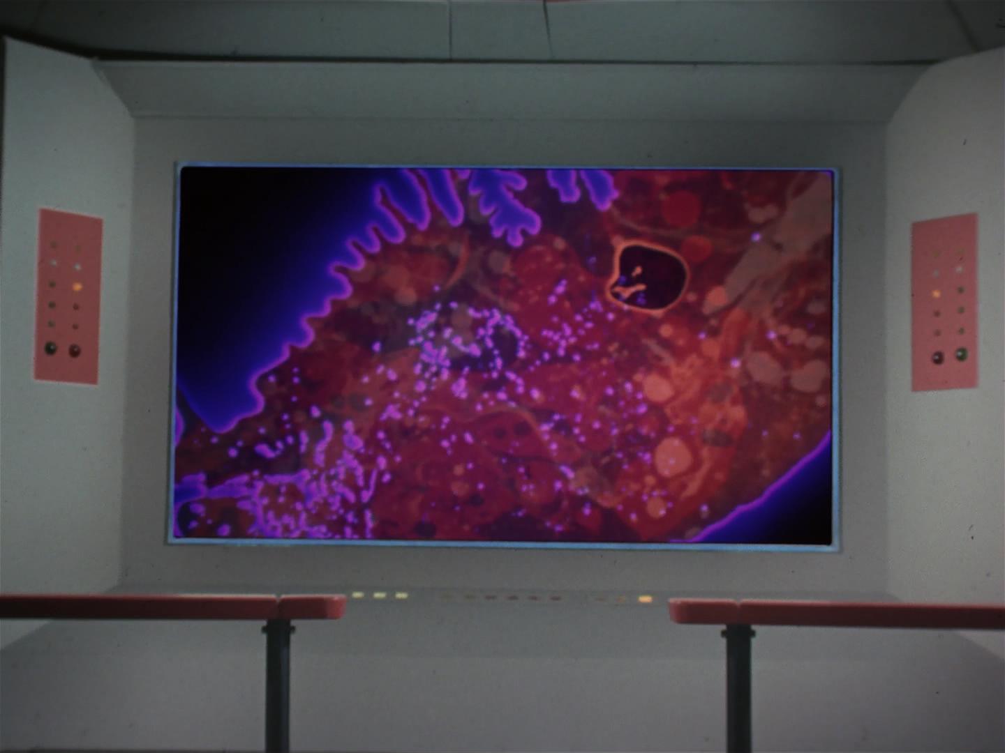 ariane179254_StarTrek_2x18_TheImmunitySyndrome_1577.jpg