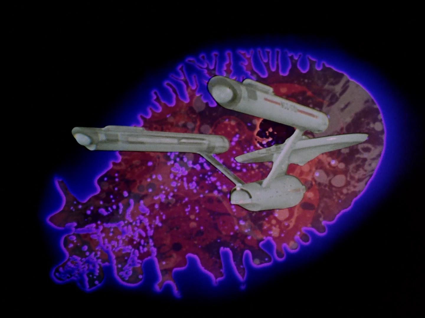 ariane179254_StarTrek_2x18_TheImmunitySyndrome_1590.jpg