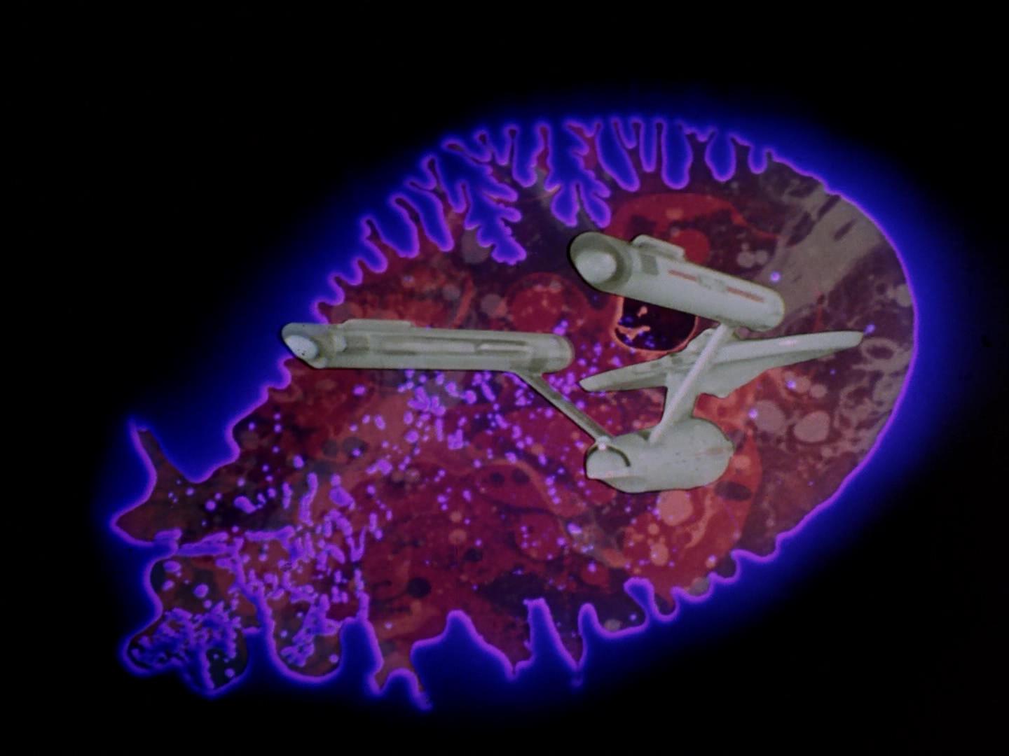 ariane179254_StarTrek_2x18_TheImmunitySyndrome_1591.jpg