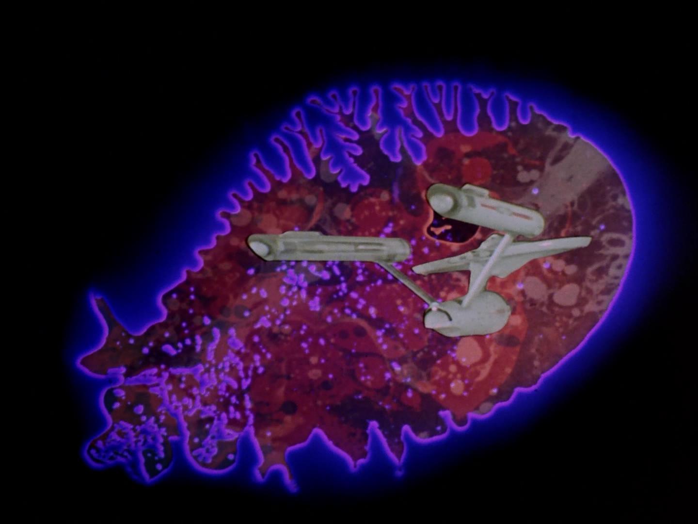 ariane179254_StarTrek_2x18_TheImmunitySyndrome_1592.jpg