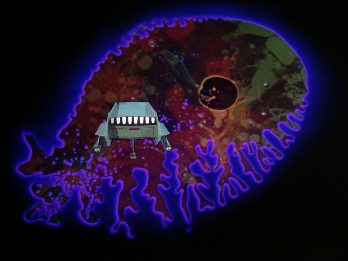 ariane179254_StarTrek_2x18_TheImmunitySyndrome_2030.jpg