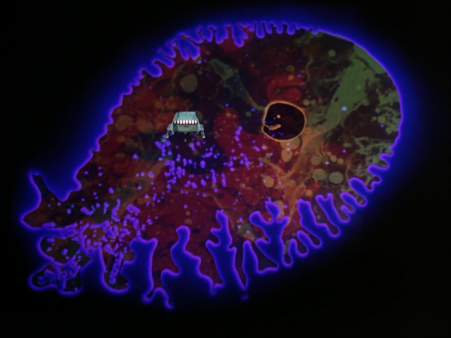 ariane179254_StarTrek_2x18_TheImmunitySyndrome_2032.jpg