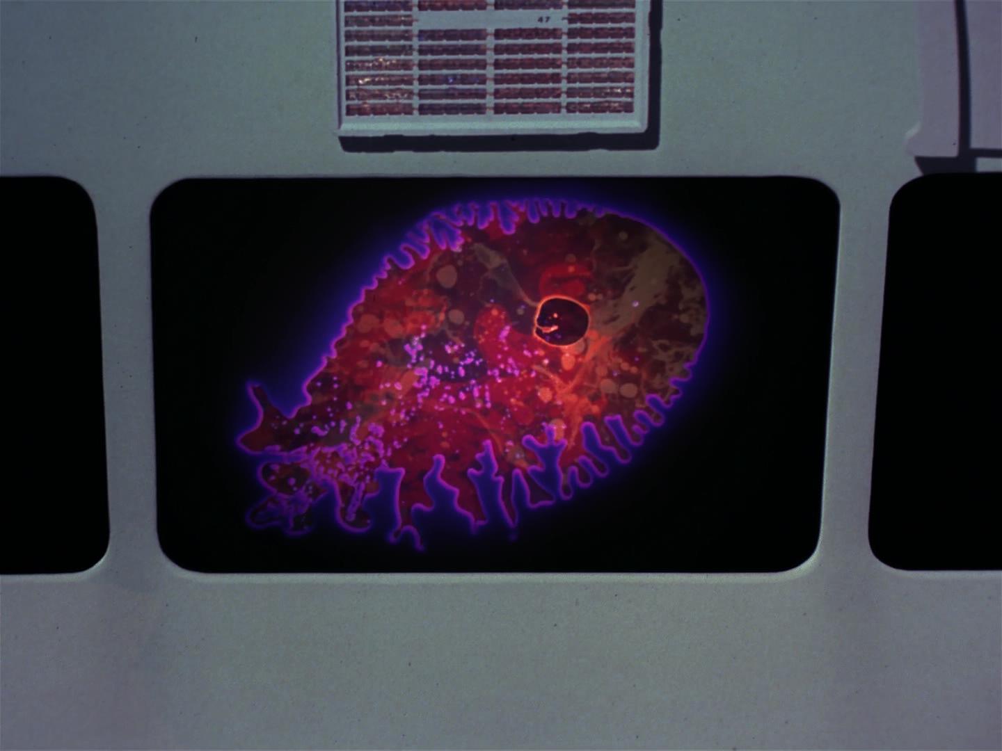 ariane179254_StarTrek_2x18_TheImmunitySyndrome_2097.jpg