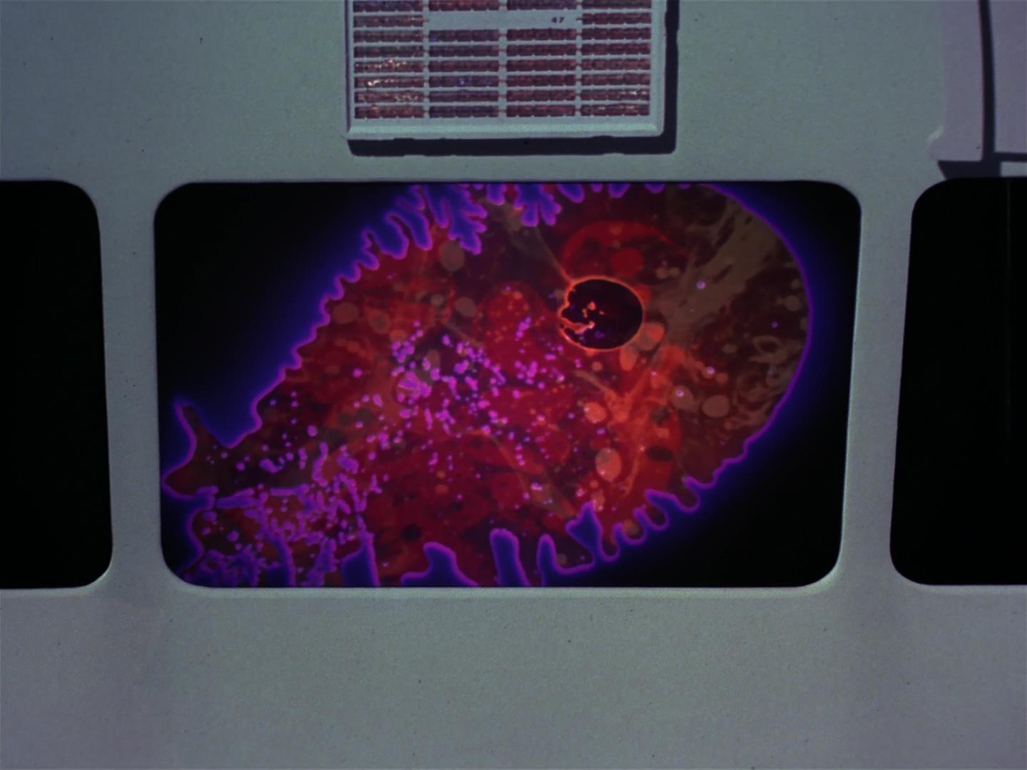 ariane179254_StarTrek_2x18_TheImmunitySyndrome_2100.jpg