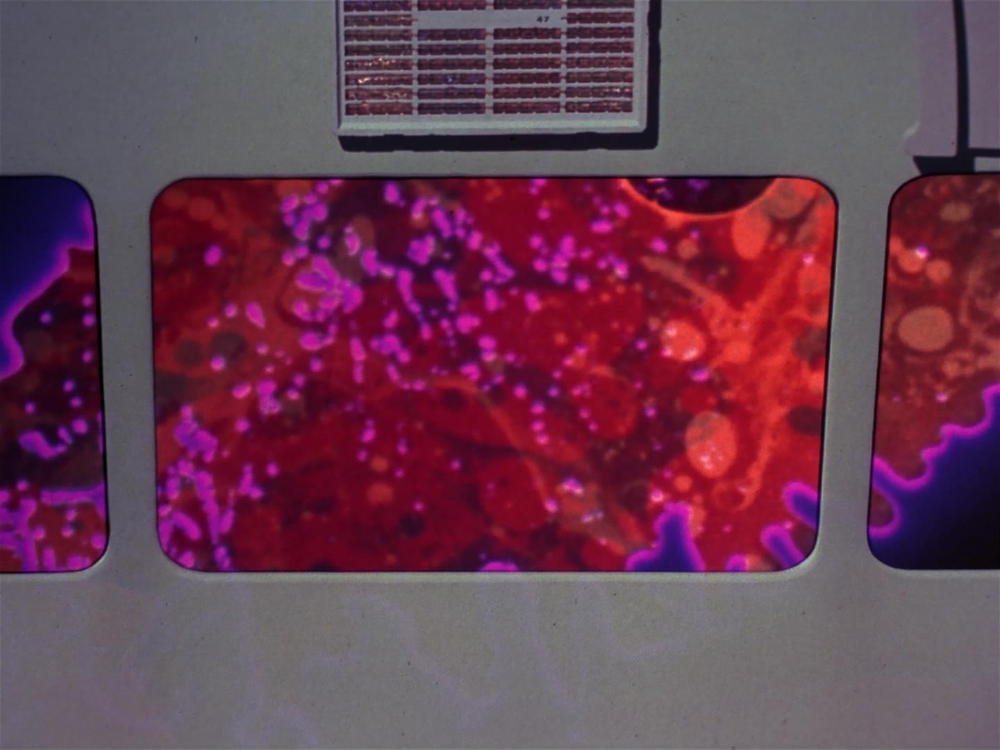 ariane179254_StarTrek_2x18_TheImmunitySyndrome_2110.jpg