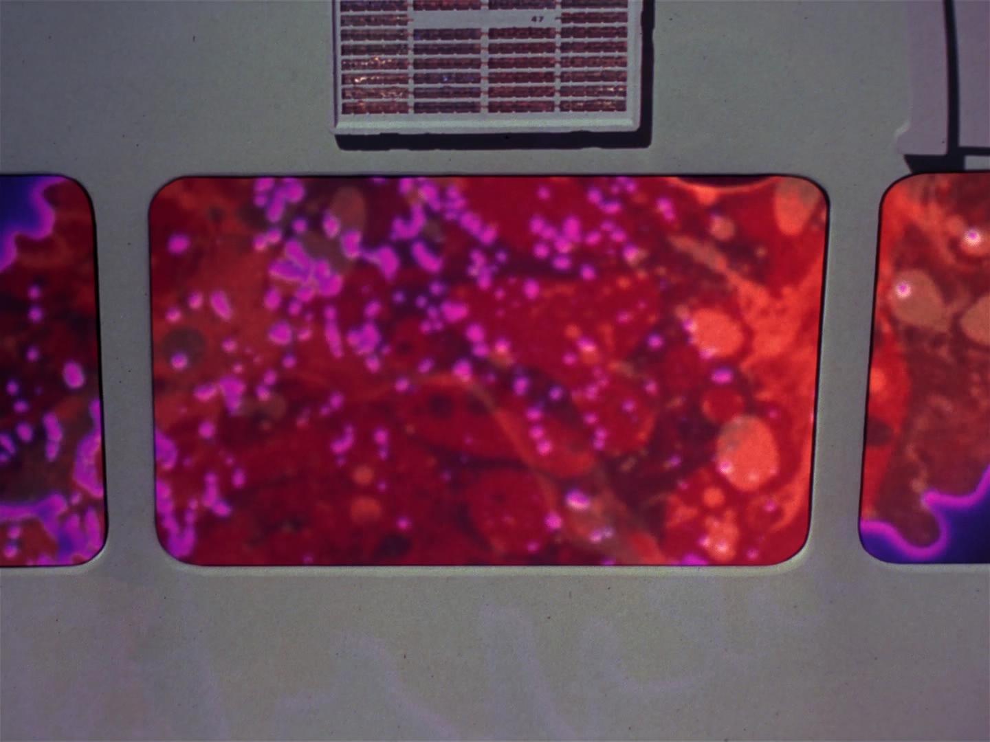 ariane179254_StarTrek_2x18_TheImmunitySyndrome_2111.jpg