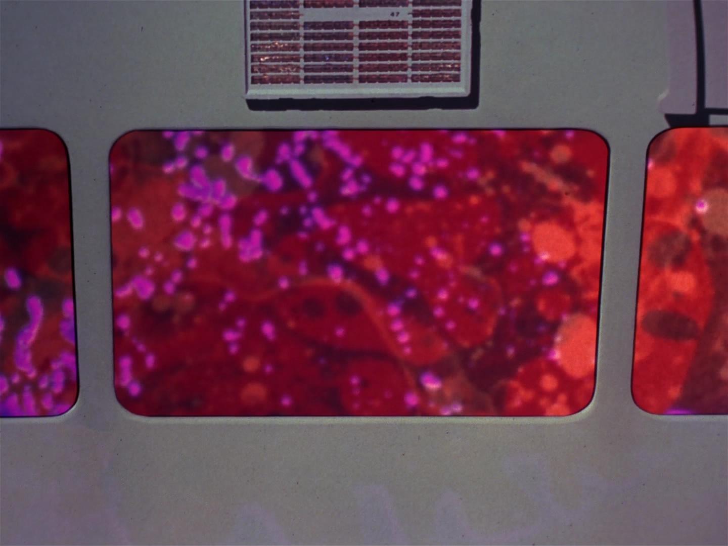 ariane179254_StarTrek_2x18_TheImmunitySyndrome_2112.jpg