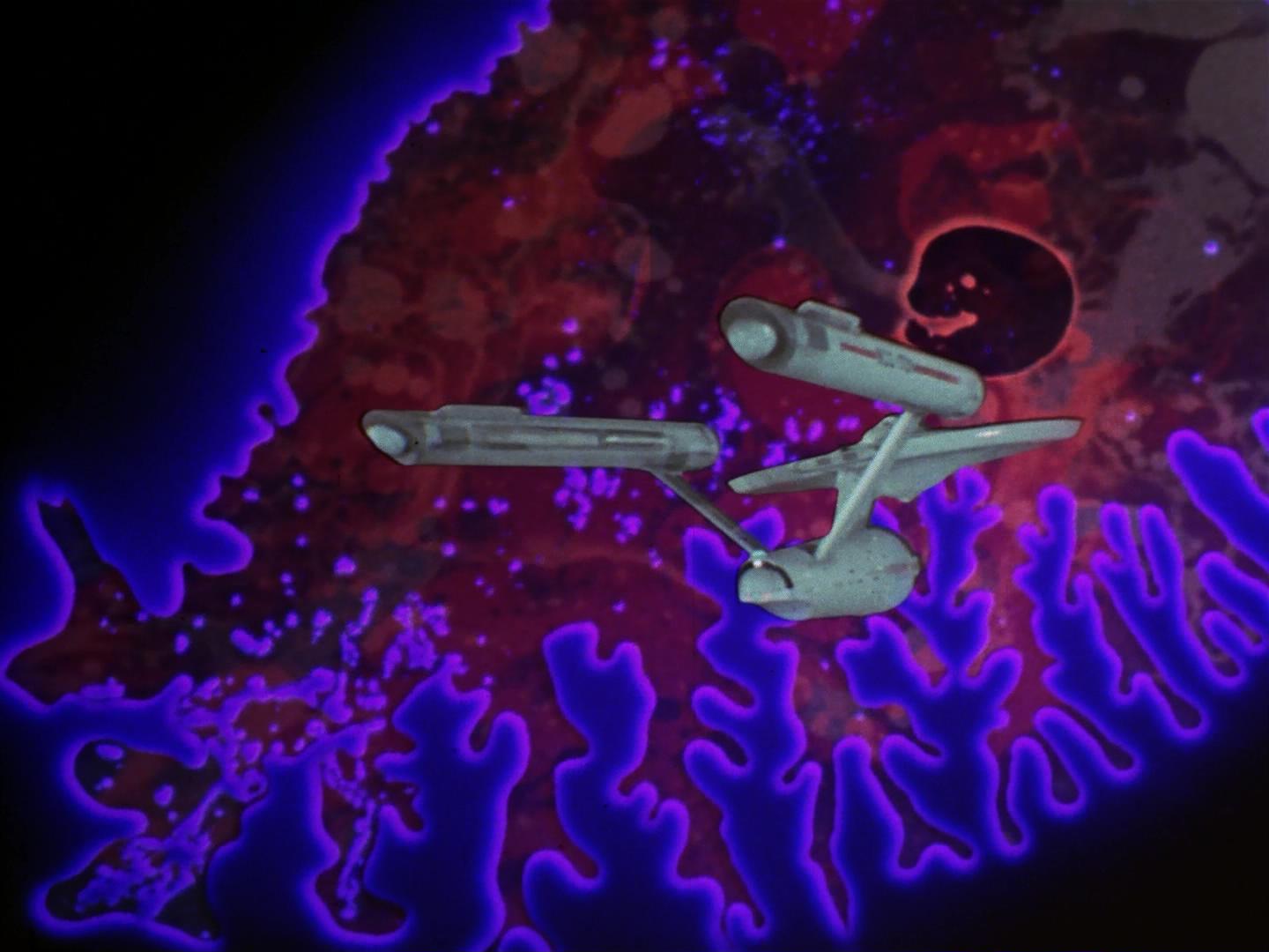 ariane179254_StarTrek_2x18_TheImmunitySyndrome_2279.jpg