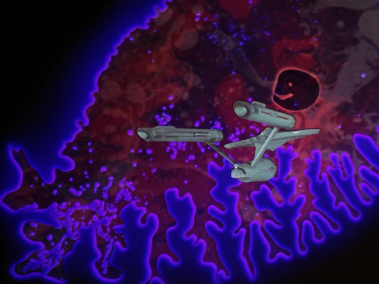 ariane179254_StarTrek_2x18_TheImmunitySyndrome_2280.jpg