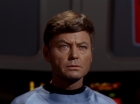 ariane179254_StarTrek_2x18_TheImmunitySyndrome_0880.jpg