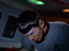 ariane179254_StarTrek_2x18_TheImmunitySyndrome_1516.jpg