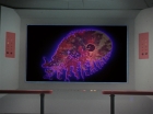 Filename=ariane179254_StarTrek_2x18_TheImmunitySyndrome_1538.jpg
Filesize=70KiB
Dimensions=1440x1080
Date added=Jul 14, 2015 ariane179254_StarTrek_2x18_TheImmunitySyndrome_1538.jpg