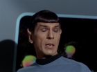 Filename=ariane179254_StarTrek_2x18_TheImmunitySyndrome_1582.jpg
Filesize=58KiB
Dimensions=1440x1080
Date added=Jul 14, 2015 ariane179254_StarTrek_2x18_TheImmunitySyndrome_1582.jpg