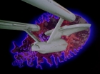 Filename=ariane179254_StarTrek_2x18_TheImmunitySyndrome_1588.jpg
Filesize=90KiB
Dimensions=1440x1080
Date added=Jul 14, 2015 ariane179254_StarTrek_2x18_TheImmunitySyndrome_1588.jpg