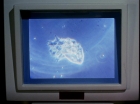 Filename=ariane179254_StarTrek_2x18_TheImmunitySyndrome_1625.jpg
Filesize=81KiB
Dimensions=1440x1080
Date added=Jul 14, 2015 ariane179254_StarTrek_2x18_TheImmunitySyndrome_1625.jpg