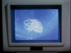 Filename=ariane179254_StarTrek_2x18_TheImmunitySyndrome_1626.jpg
Filesize=83KiB
Dimensions=1440x1080
Date added=Jul 14, 2015 ariane179254_StarTrek_2x18_TheImmunitySyndrome_1626.jpg