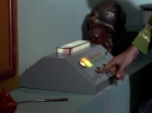 Filename=ariane179254_StarTrek_2x18_TheImmunitySyndrome_1794.jpg
Filesize=74KiB
Dimensions=1440x1080
Date added=Jul 14, 2015 ariane179254_StarTrek_2x18_TheImmunitySyndrome_1794.jpg