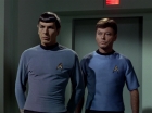 Filename=ariane179254_StarTrek_2x18_TheImmunitySyndrome_1895.jpg
Filesize=81KiB
Dimensions=1440x1080
Date added=Jul 14, 2015 ariane179254_StarTrek_2x18_TheImmunitySyndrome_1895.jpg