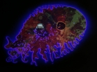 Filename=ariane179254_StarTrek_2x18_TheImmunitySyndrome_2032.jpg
Filesize=74KiB
Dimensions=1440x1080
Date added=Jul 14, 2015 ariane179254_StarTrek_2x18_TheImmunitySyndrome_2032.jpg