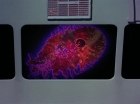 Filename=ariane179254_StarTrek_2x18_TheImmunitySyndrome_2099.jpg
Filesize=87KiB
Dimensions=1440x1080
Date added=Jul 14, 2015 ariane179254_StarTrek_2x18_TheImmunitySyndrome_2099.jpg