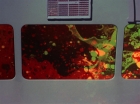Filename=ariane179254_StarTrek_2x18_TheImmunitySyndrome_2165.jpg
Filesize=109KiB
Dimensions=1440x1080
Date added=Jul 14, 2015 ariane179254_StarTrek_2x18_TheImmunitySyndrome_2165.jpg