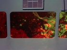 Filename=ariane179254_StarTrek_2x18_TheImmunitySyndrome_2166.jpg
Filesize=101KiB
Dimensions=1440x1080
Date added=Jul 14, 2015 ariane179254_StarTrek_2x18_TheImmunitySyndrome_2166.jpg