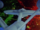 ariane179254_StarTrek_2x18_TheImmunitySyndrome_2334.jpg