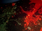 ariane179254_StarTrek_2x18_TheImmunitySyndrome_2632.jpg