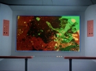 ariane179254_StarTrek_2x18_TheImmunitySyndrome_2664.jpg