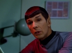 Filename=ariane179254_StarTrek_2x18_TheImmunitySyndrome_3057.jpg
Filesize=85KiB
Dimensions=1440x1080
Date added=Jul 14, 2015 ariane179254_StarTrek_2x18_TheImmunitySyndrome_3057.jpg