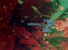Filename=ariane179254_StarTrek_2x18_TheImmunitySyndrome_3064.jpg
Filesize=107KiB
Dimensions=1440x1080
Date added=Jul 14, 2015 ariane179254_StarTrek_2x18_TheImmunitySyndrome_3064.jpg