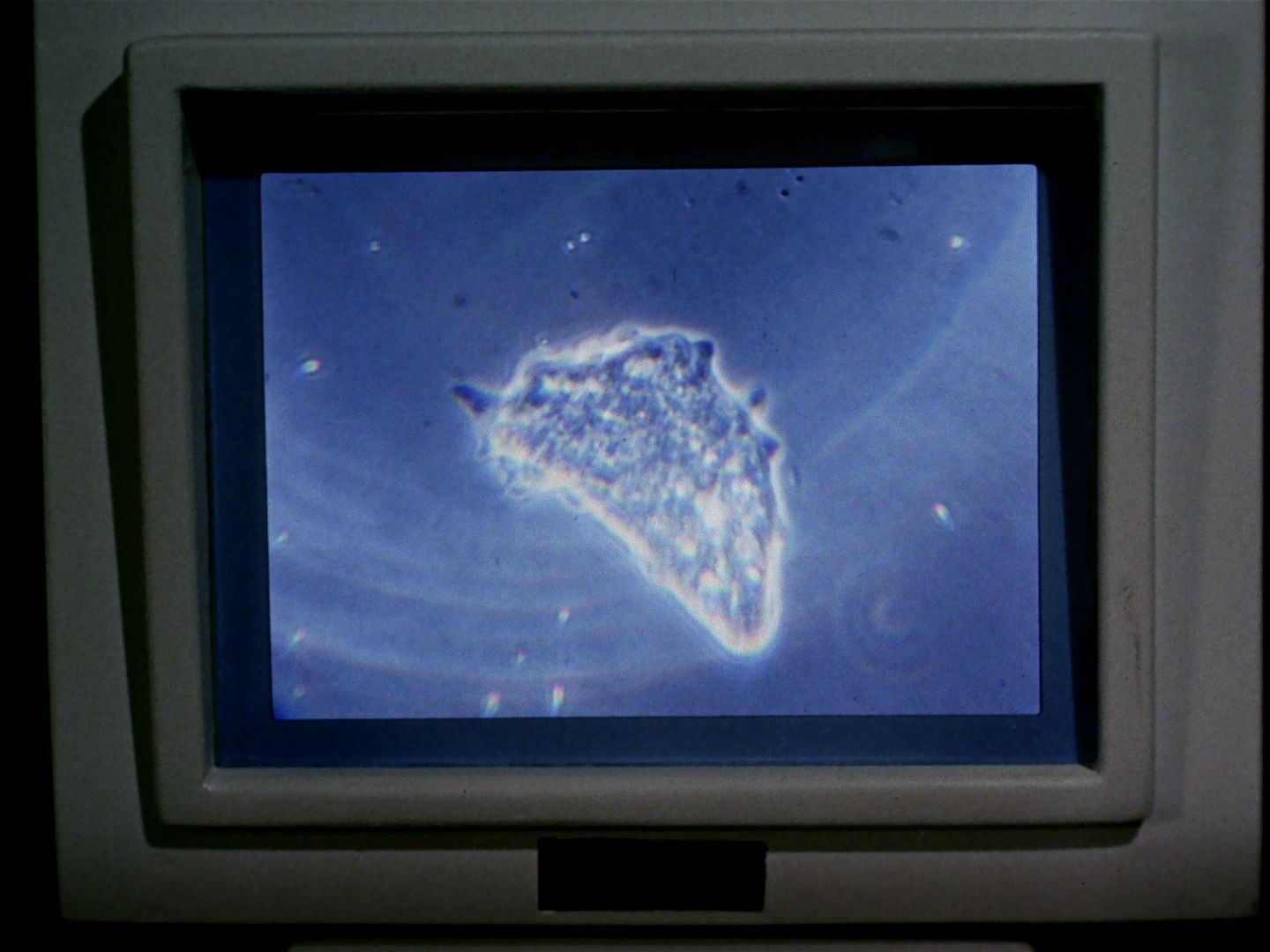 ariane179254_StarTrek_2x18_TheImmunitySyndrome-NewEffects_1758.jpg