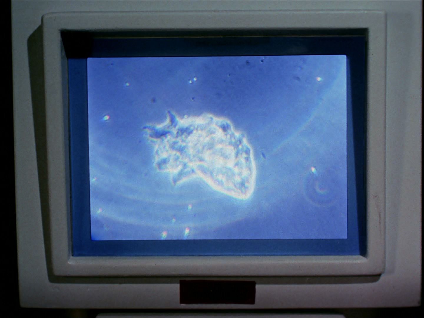 ariane179254_StarTrek_2x18_TheImmunitySyndrome-NewEffects_1785.jpg