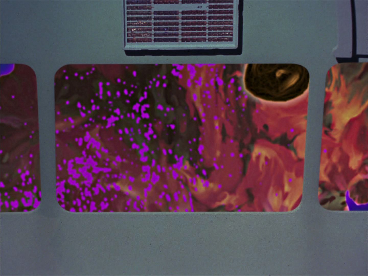 ariane179254_StarTrek_2x18_TheImmunitySyndrome-NewEffects_2323.jpg