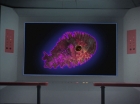 Filename=ariane179254_StarTrek_2x18_TheImmunitySyndrome-NewEffects_1631.jpg
Filesize=84KiB
Dimensions=1440x1080
Date added=Jan 18, 2012 ariane179254_StarTrek_2x18_TheImmunitySyndrome-NewEffects_1631.jpg
