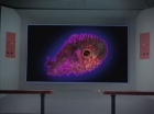 Filename=ariane179254_StarTrek_2x18_TheImmunitySyndrome-NewEffects_1632.jpg
Filesize=88KiB
Dimensions=1440x1080
Date added=Jan 18, 2012 ariane179254_StarTrek_2x18_TheImmunitySyndrome-NewEffects_1632.jpg
