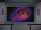 Filename=ariane179254_StarTrek_2x18_TheImmunitySyndrome-NewEffects_1692.jpg
Filesize=95KiB
Dimensions=1440x1080
Date added=Jan 18, 2012 ariane179254_StarTrek_2x18_TheImmunitySyndrome-NewEffects_1692.jpg