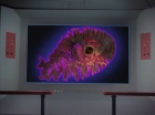 Filename=ariane179254_StarTrek_2x18_TheImmunitySyndrome-NewEffects_1693.jpg
Filesize=97KiB
Dimensions=1440x1080
Date added=Jan 18, 2012 ariane179254_StarTrek_2x18_TheImmunitySyndrome-NewEffects_1693.jpg