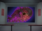 Filename=ariane179254_StarTrek_2x18_TheImmunitySyndrome-NewEffects_1731.jpg
Filesize=106KiB
Dimensions=1440x1080
Date added=Jan 18, 2012 ariane179254_StarTrek_2x18_TheImmunitySyndrome-NewEffects_1731.jpg