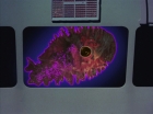 Filename=ariane179254_StarTrek_2x18_TheImmunitySyndrome-NewEffects_2308.jpg
Filesize=113KiB
Dimensions=1440x1080
Date added=Jan 18, 2012 ariane179254_StarTrek_2x18_TheImmunitySyndrome-NewEffects_2308.jpg