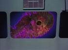 Filename=ariane179254_StarTrek_2x18_TheImmunitySyndrome-NewEffects_2310.jpg
Filesize=115KiB
Dimensions=1440x1080
Date added=Jan 18, 2012 ariane179254_StarTrek_2x18_TheImmunitySyndrome-NewEffects_2310.jpg