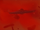Filename=ariane179254_StarTrek_2x18_TheImmunitySyndrome-NewEffects_2925.jpg
Filesize=51KiB
Dimensions=1440x1080
Date added=Jan 18, 2012 ariane179254_StarTrek_2x18_TheImmunitySyndrome-NewEffects_2925.jpg