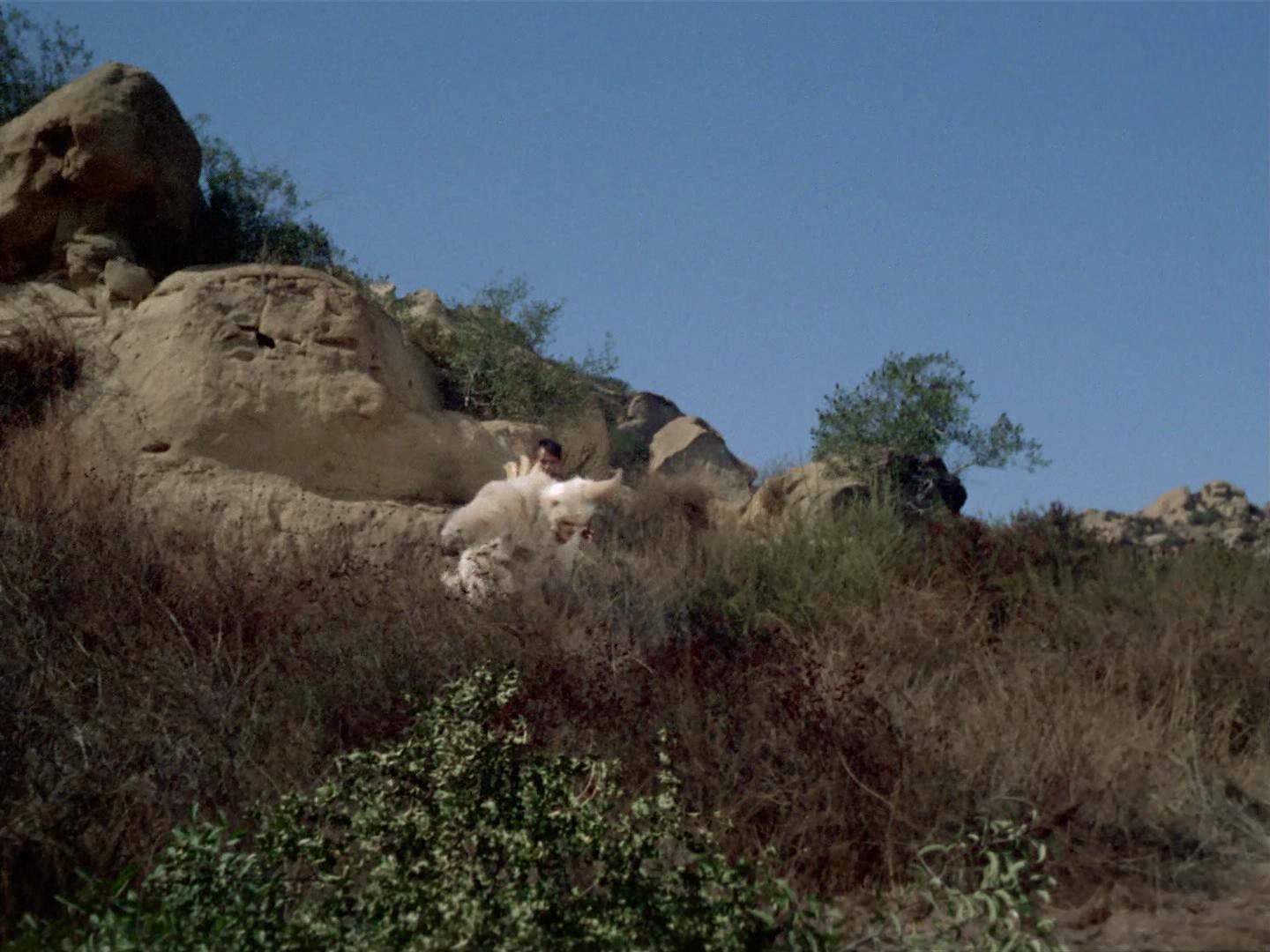 ariane179254_StarTrek_2x19_APrivateLittleWar_0667.jpg