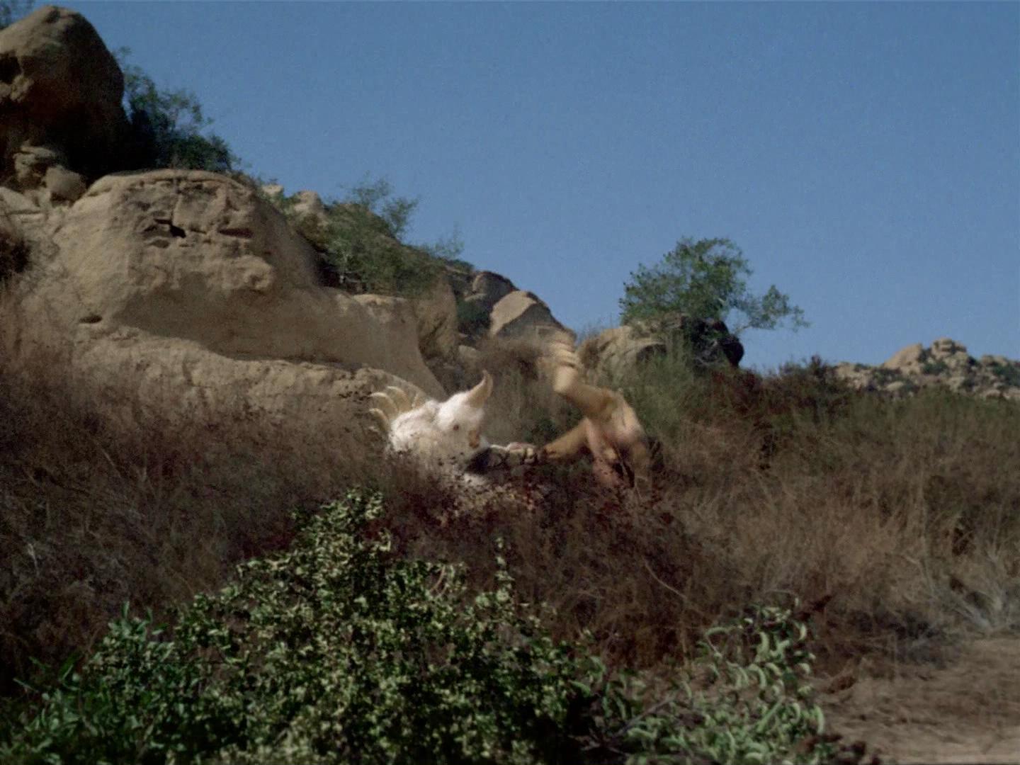 ariane179254_StarTrek_2x19_APrivateLittleWar_0670.jpg