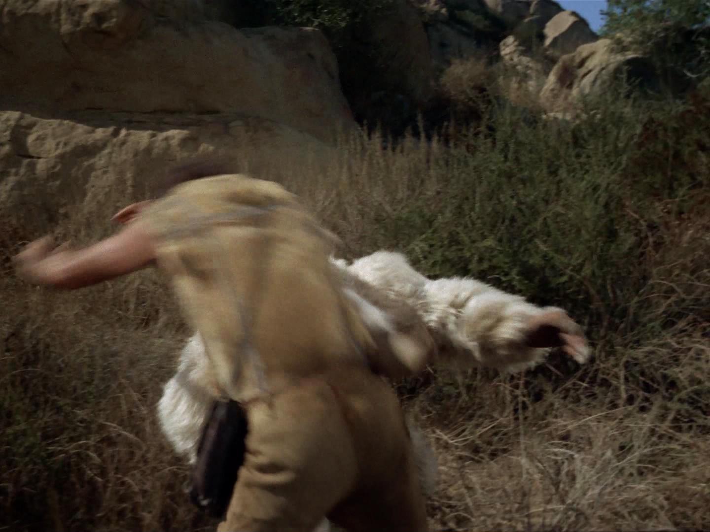 ariane179254_StarTrek_2x19_APrivateLittleWar_0672.jpg