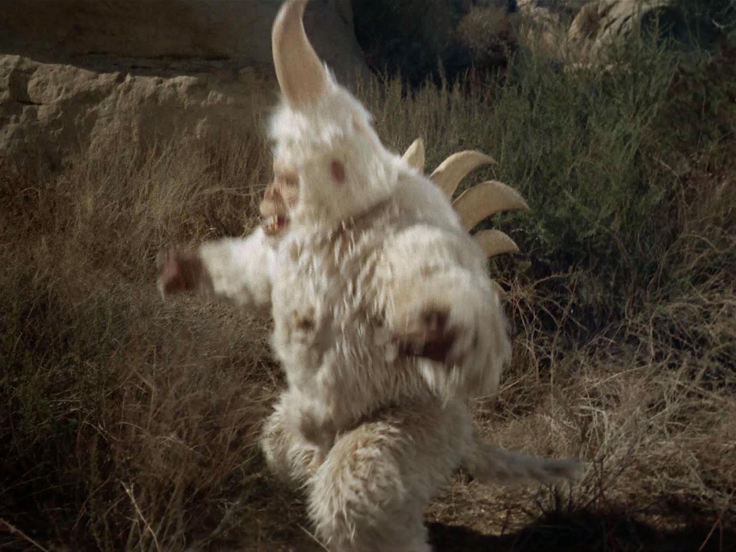 ariane179254_StarTrek_2x19_APrivateLittleWar_0674.jpg