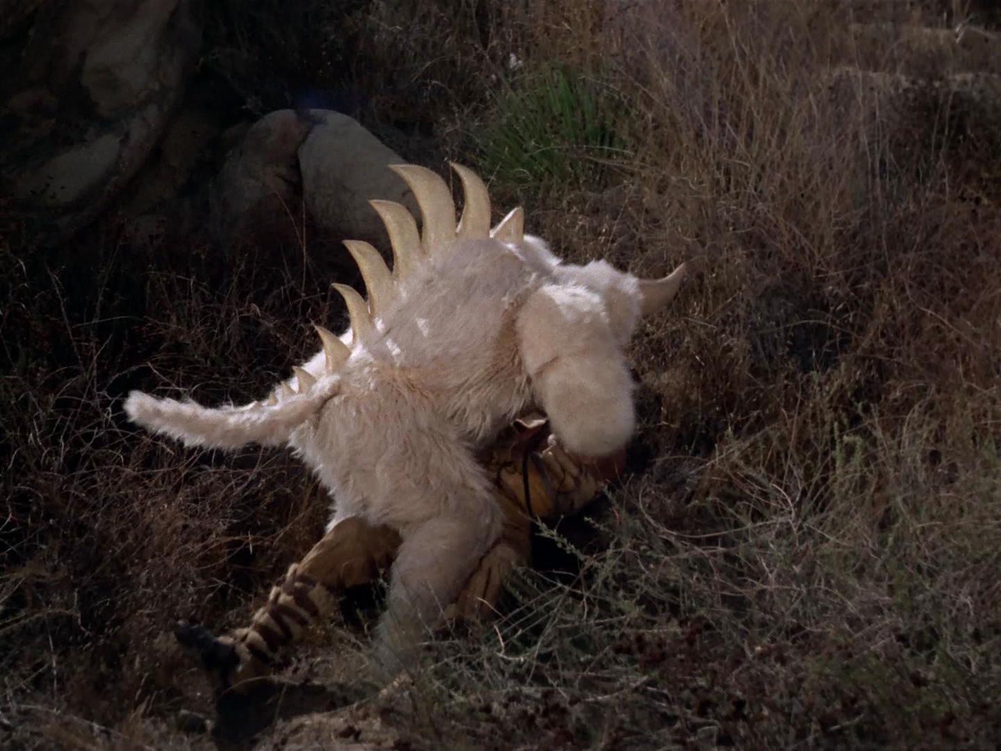 ariane179254_StarTrek_2x19_APrivateLittleWar_0680.jpg