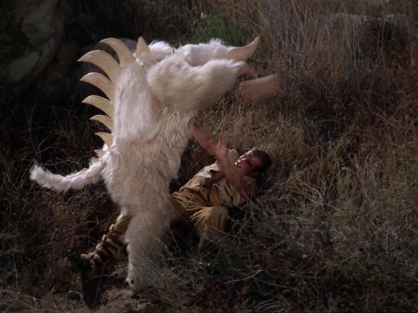 ariane179254_StarTrek_2x19_APrivateLittleWar_0689.jpg