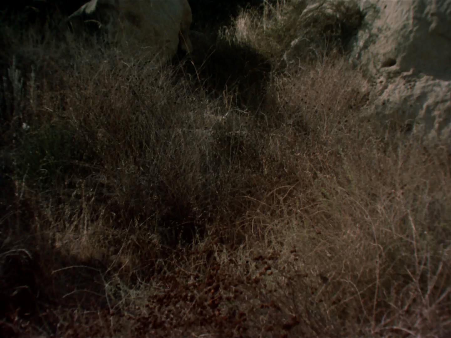 ariane179254_StarTrek_2x19_APrivateLittleWar_0695.jpg