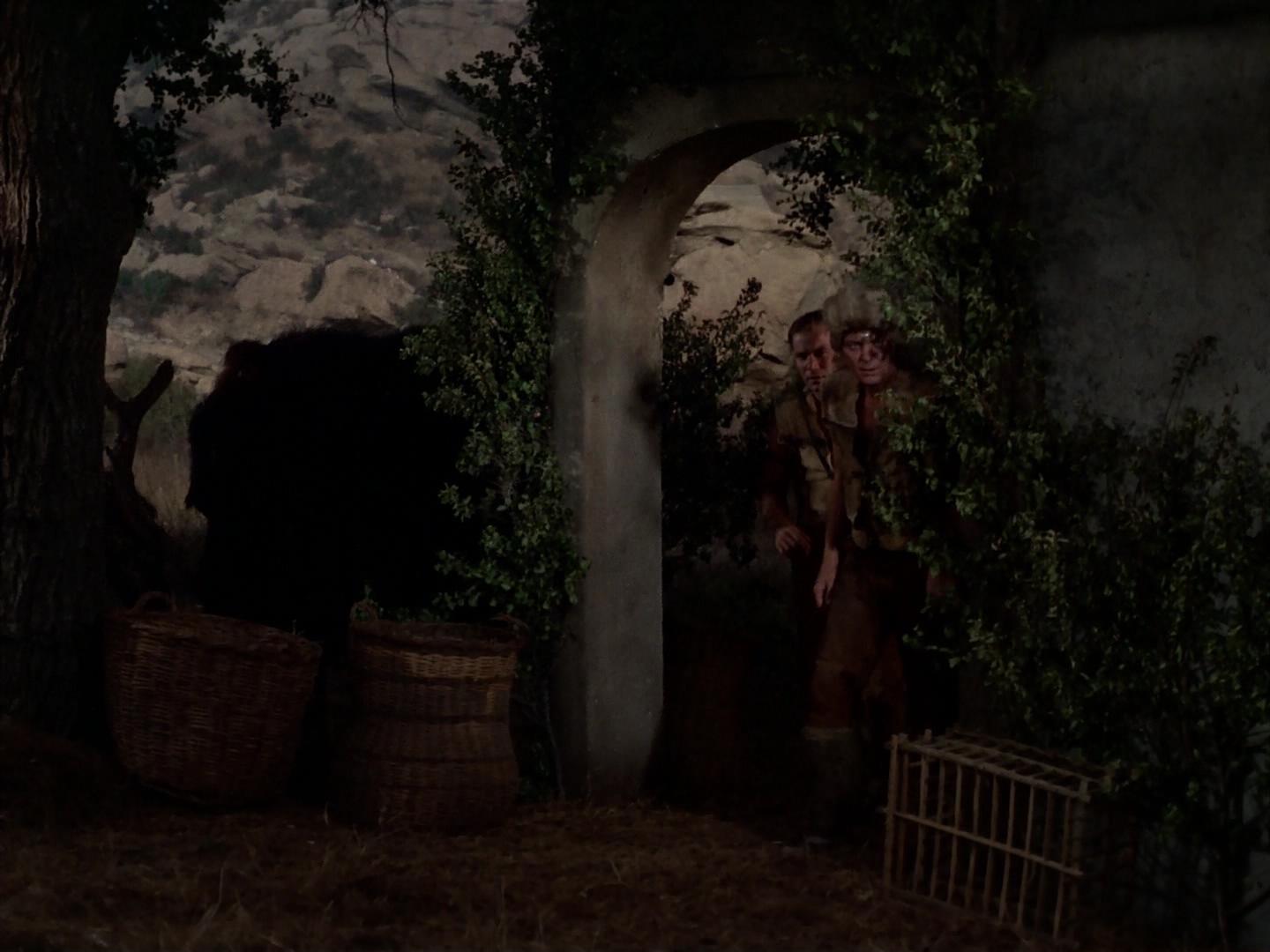 ariane179254_StarTrek_2x19_APrivateLittleWar_1941.jpg